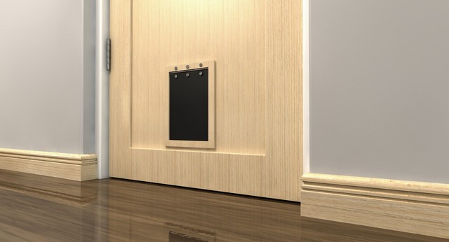 Cat Flap Installation St John's Wood, NW8