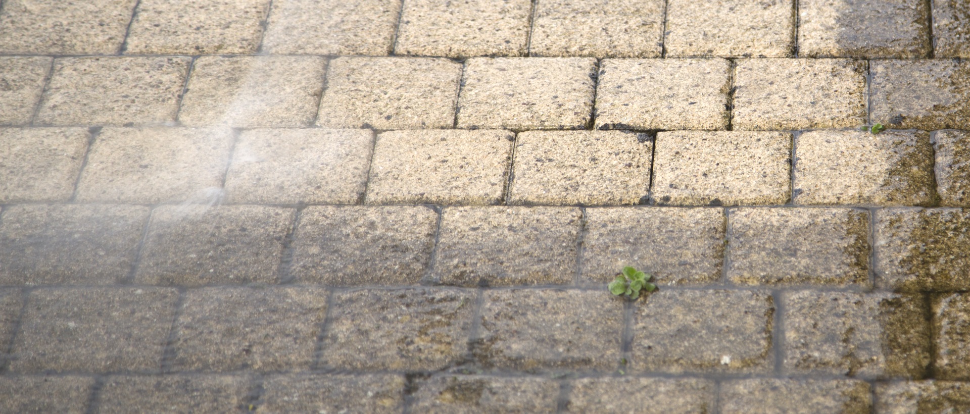 flagging and patios NW8