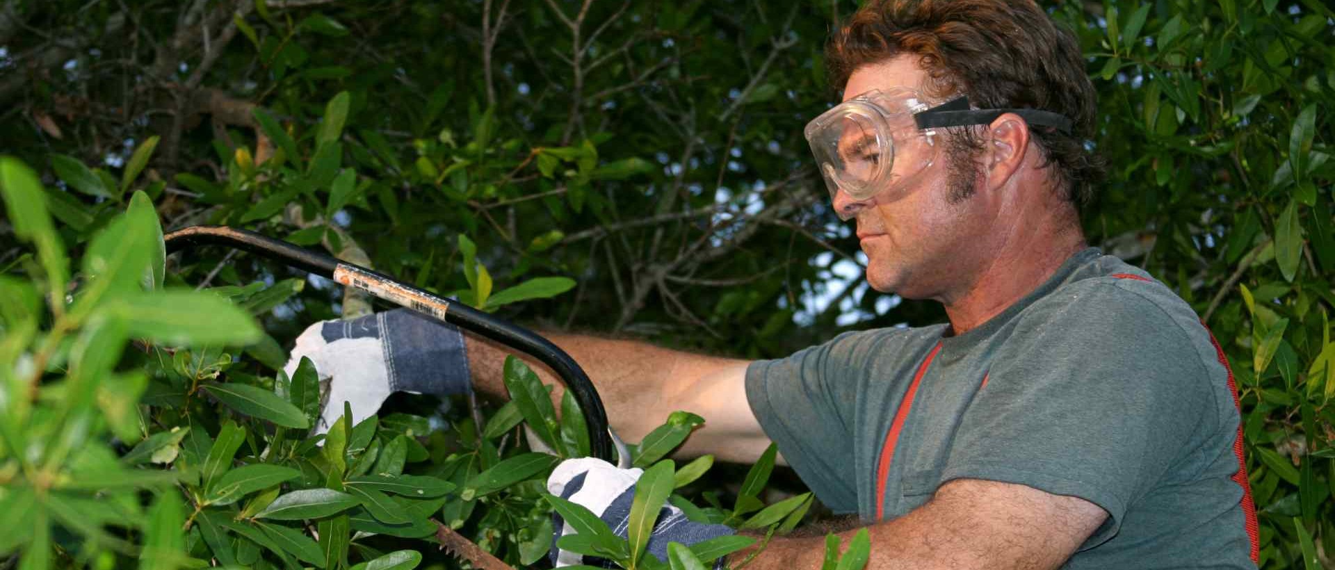 garden clearance NW8